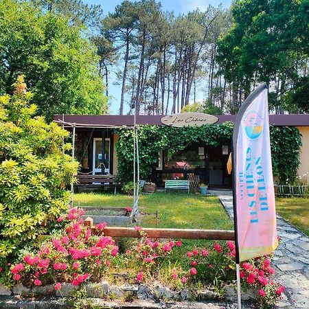 Village Vacances Les Chenes De Леон Экстерьер фото